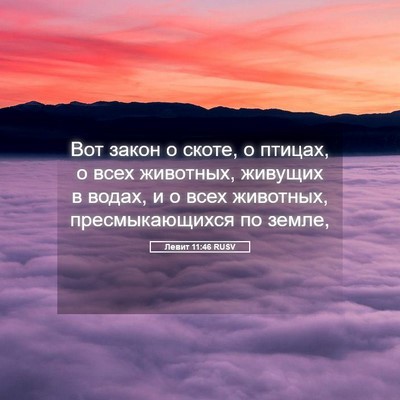 Picture 05 - Левит 11:46 RUSV - Вот закон о скоте, о птицах, - Bible Verse Picture