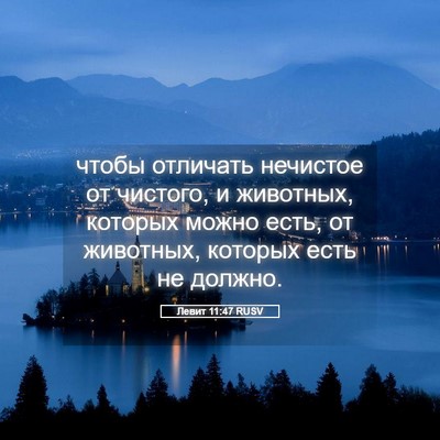 Picture 05 - Левит 11:47 RUSV - чтобы отличать нечистое от - Bible Verse Picture