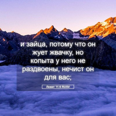 Picture 05 - Левит 11:6 RUSV - и зайца, потому что он жует - Bible Verse Picture