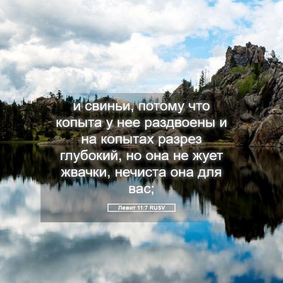 Picture 05 - Левит 11:7 RUSV - и свиньи, потому что копыта - Bible Verse Picture