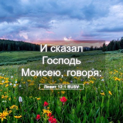 Picture 05 - Левит 12:1 RUSV - И сказал Господь Моисею, - Bible Verse Picture