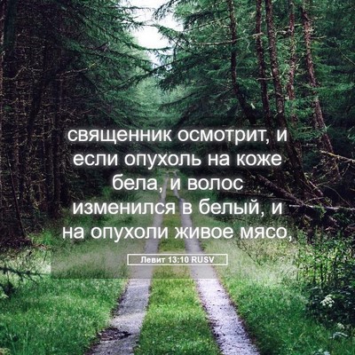 Picture 05 - Левит 13:10 RUSV - священник осмотрит, и если - Bible Verse Picture