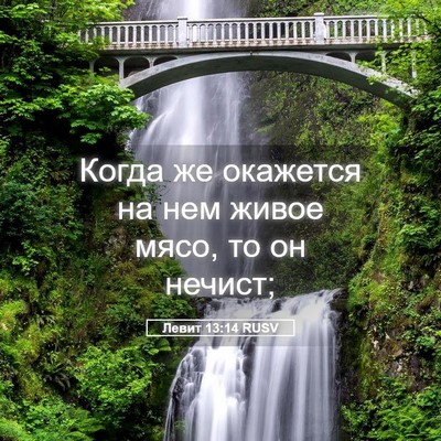 Picture 05 - Левит 13:14 RUSV - Когда же окажется на нем - Bible Verse Picture