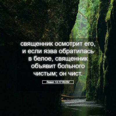 Picture 05 - Левит 13:17 RUSV - священник осмотрит его, и - Bible Verse Picture