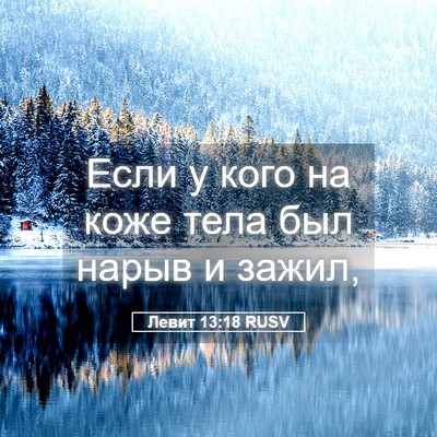 Picture 05 - Левит 13:18 RUSV - Если у кого на коже тела - Bible Verse Picture