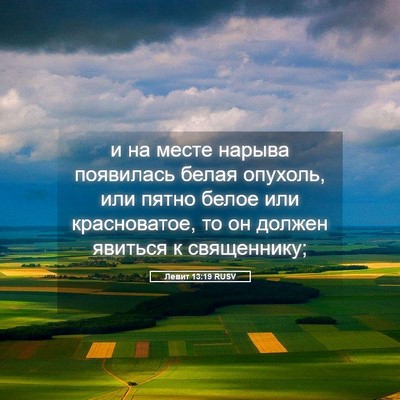 Picture 05 - Левит 13:19 RUSV - и на месте нарыва - Bible Verse Picture