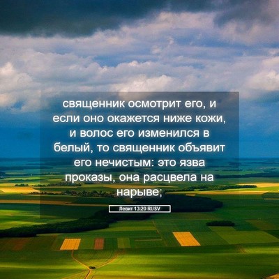 Picture 05 - Левит 13:20 RUSV - священник осмотрит его, и - Bible Verse Picture