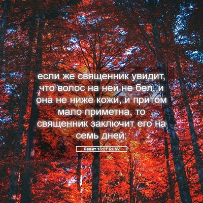 Picture 05 - Левит 13:21 RUSV - если же священник увидит, - Bible Verse Picture
