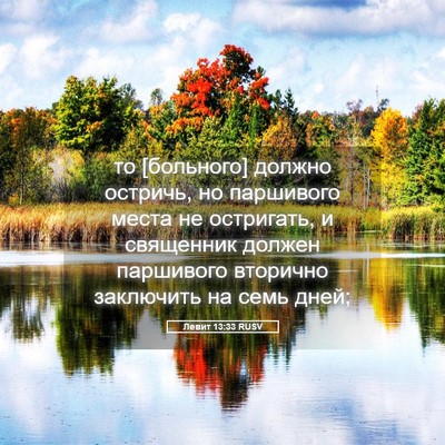 Picture 05 - Левит 13:33 RUSV - то [больного] должно - Bible Verse Picture