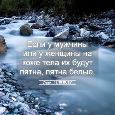 Picture 05 - Левит 13:38 RUSV - Если у мужчины или у - Bible Verse Picture