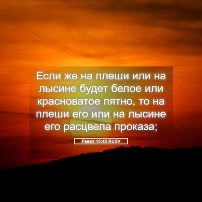 Picture 05 - Левит 13:42 RUSV - Если же на плеши или на - Bible Verse Picture
