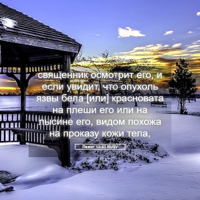 Picture 05 - Левит 13:43 RUSV - священник осмотрит его, и - Bible Verse Picture