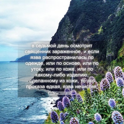 Picture 05 - Левит 13:51 RUSV - в седьмой день осмотрит - Bible Verse Picture