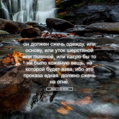 Picture 05 - Левит 13:52 RUSV - он должен сжечь одежду, или - Bible Verse Picture