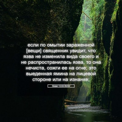 Picture 05 - Левит 13:55 RUSV - если по омытии зараженной - Bible Verse Picture
