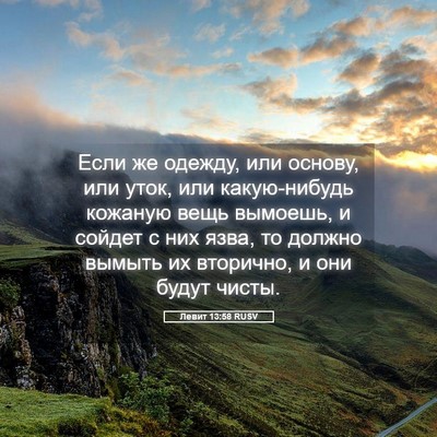 Picture 05 - Левит 13:58 RUSV - Если же одежду, или основу, - Bible Verse Picture