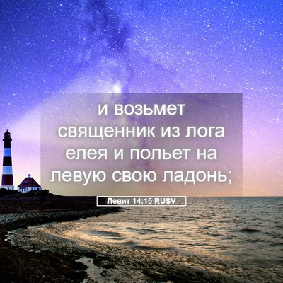 Picture 05 - Левит 14:15 RUSV - и возьмет священник из - Bible Verse Picture