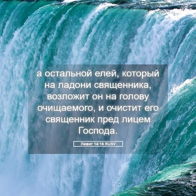 Picture 05 - Левит 14:18 RUSV - а остальной елей, который - Bible Verse Picture