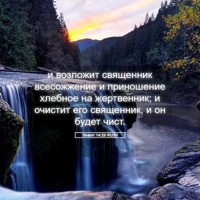 Picture 05 - Левит 14:20 RUSV - и возложит священник - Bible Verse Picture