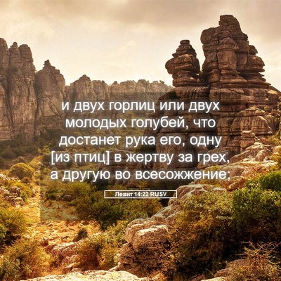 Picture 05 - Левит 14:22 RUSV - и двух горлиц или двух - Bible Verse Picture