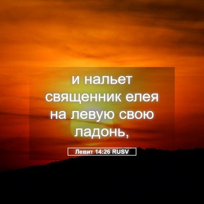 Picture 05 - Левит 14:26 RUSV - и нальет священник елея на - Bible Verse Picture