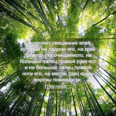 Picture 05 - Левит 14:28 RUSV - и возложит священник елея, - Bible Verse Picture