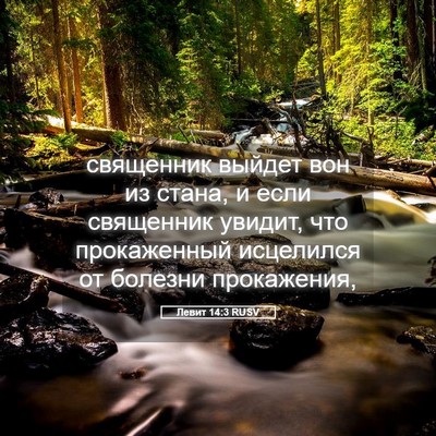 Picture 05 - Левит 14:3 RUSV - священник выйдет вон из - Bible Verse Picture