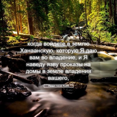 Picture 05 - Левит 14:34 RUSV - когда войдете в землю - Bible Verse Picture