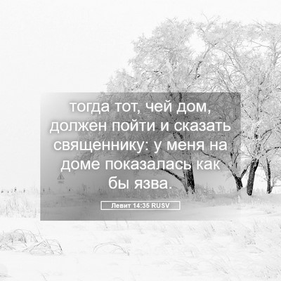 Picture 05 - Левит 14:35 RUSV - тогда тот, чей дом, должен - Bible Verse Picture