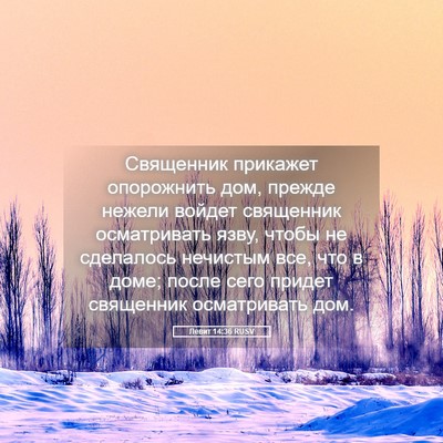 Picture 05 - Левит 14:36 RUSV - Священник прикажет - Bible Verse Picture