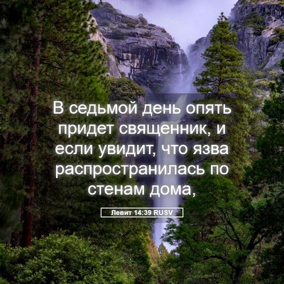 Picture 05 - Левит 14:39 RUSV - В седьмой день опять - Bible Verse Picture