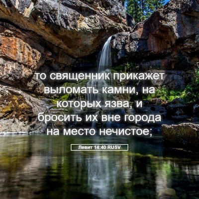 Picture 05 - Левит 14:40 RUSV - то священник прикажет - Bible Verse Picture