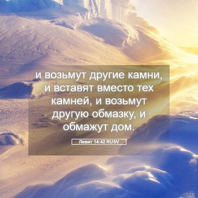 Picture 05 - Левит 14:42 RUSV - и возьмут другие камни, и - Bible Verse Picture
