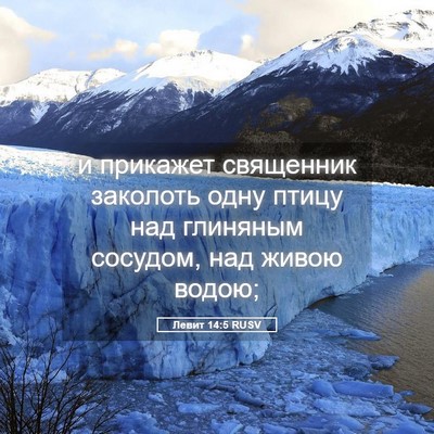 Picture 05 - Левит 14:5 RUSV - и прикажет священник - Bible Verse Picture