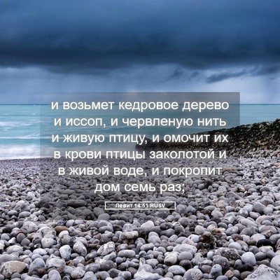 Picture 05 - Левит 14:51 RUSV - и возьмет кедровое дерево - Bible Verse Picture