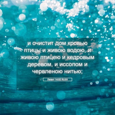 Picture 05 - Левит 14:52 RUSV - и очистит дом кровью птицы - Bible Verse Picture