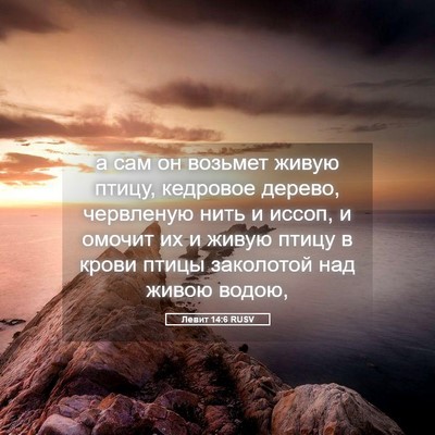 Picture 05 - Левит 14:6 RUSV - а сам он возьмет живую - Bible Verse Picture