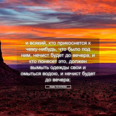 Picture 05 - Левит 15:10 RUSV - и всякий, кто прикоснется к - Bible Verse Picture