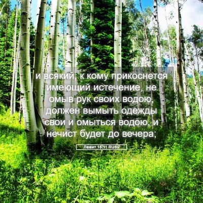 Picture 05 - Левит 15:11 RUSV - и всякий, к кому - Bible Verse Picture