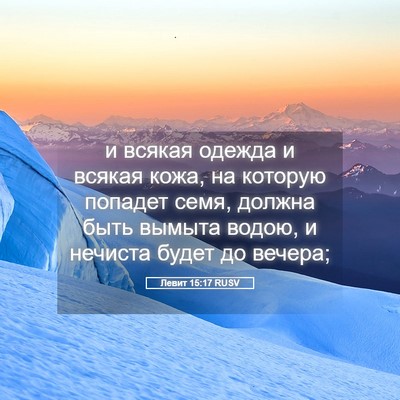 Picture 05 - Левит 15:17 RUSV - и всякая одежда и всякая - Bible Verse Picture