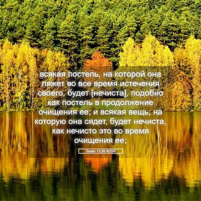 Picture 05 - Левит 15:26 RUSV - всякая постель, на которой - Bible Verse Picture