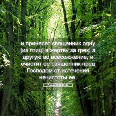 Picture 05 - Левит 15:30 RUSV - и принесет священник одну - Bible Verse Picture