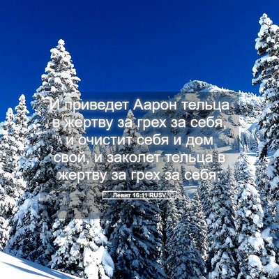 Picture 05 - Левит 16:11 RUSV - И приведет Аарон тельца в - Bible Verse Picture