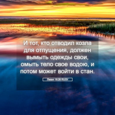 Picture 05 - Левит 16:26 RUSV - И тот, кто отводил козла - Bible Verse Picture