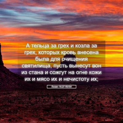 Picture 05 - Левит 16:27 RUSV - А тельца за грех и козла за - Bible Verse Picture