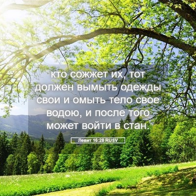 Picture 05 - Левит 16:28 RUSV - кто сожжет их, тот должен - Bible Verse Picture