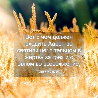 Picture 05 - Левит 16:3 RUSV - Вот с чем должен входить - Bible Verse Picture