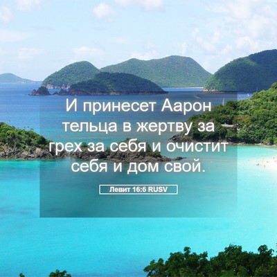 Picture 05 - Левит 16:6 RUSV - И принесет Аарон тельца в - Bible Verse Picture