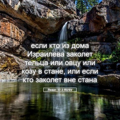 Picture 05 - Левит 17:3 RUSV - если кто из дома Израилева - Bible Verse Picture