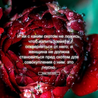 Picture 05 - Левит 18:23 RUSV - И ни с каким скотом не - Bible Verse Picture